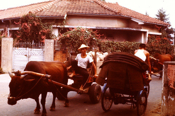 vital_4509+SOURCE1+SOURCE1.0.jp2