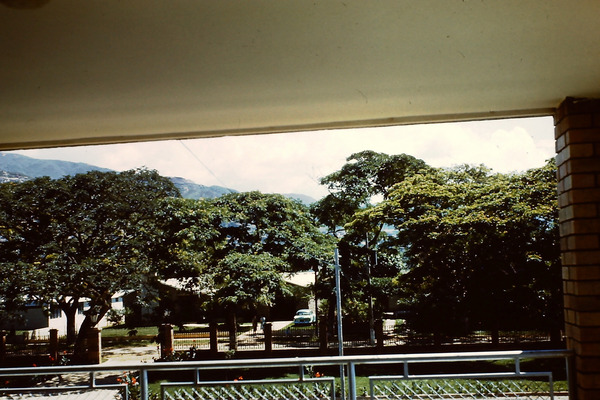 Default representative image